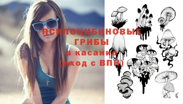дмт Абинск